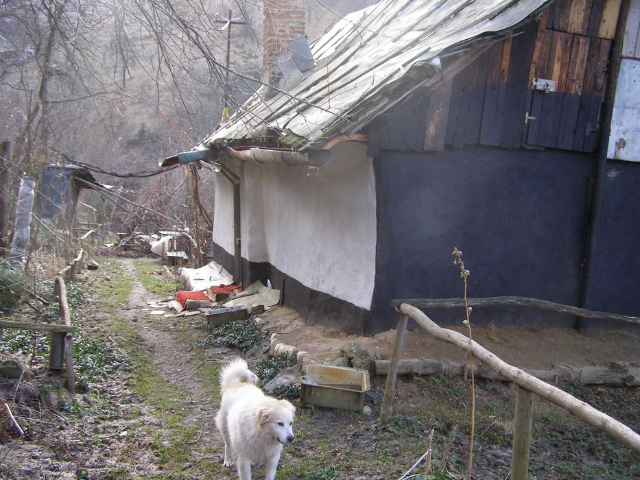 Casa si gradina in Brasov
