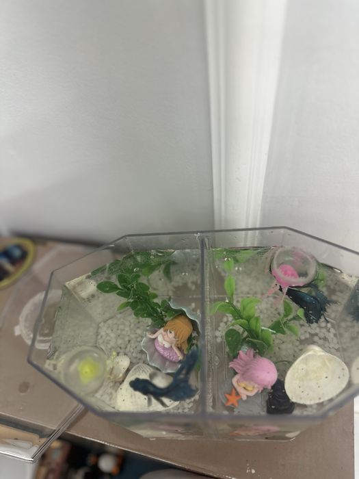Продаю рыбок - Betta ~