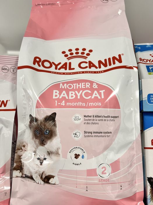 Бокс  Royal Canine Cat за котка