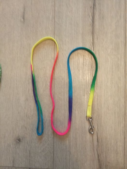 Поводки для маленьких собак