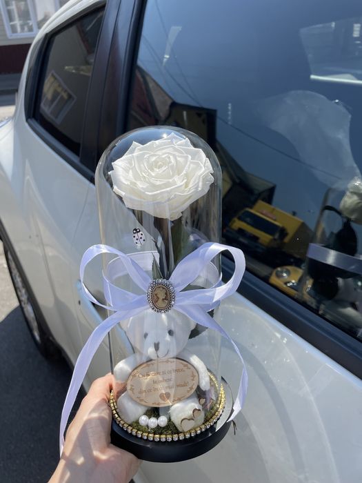 Trandafir nemuritor in cupola de sticla