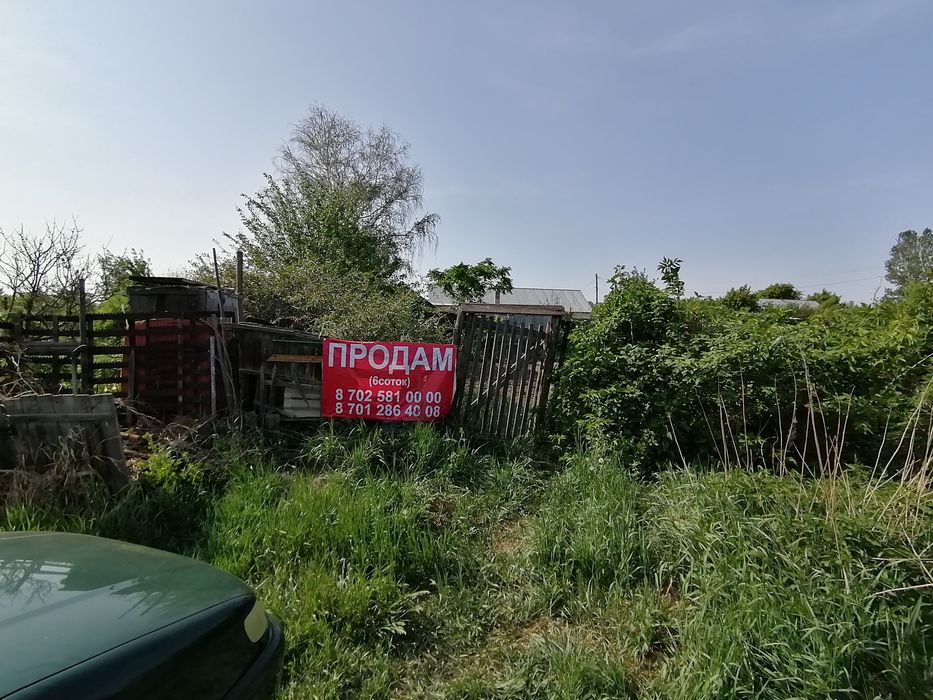 Дача 6 соток, сад Энтузиаст