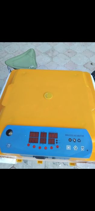 Инкубатор 48 яйц