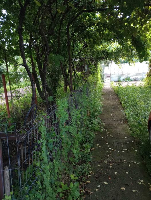 Vând casă la curte // Suprafață totală de 950 mp