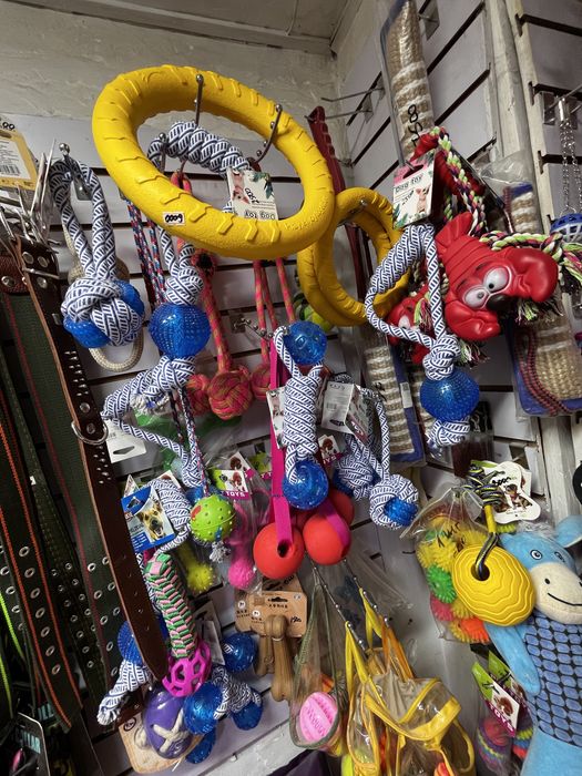 Зоомагазин “у Матроскина» отеген батыр(грэс)