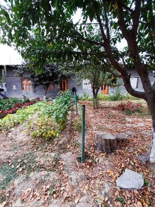 Hovli sotiladi 5 sotix Срочно Продаётся участок