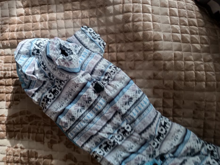 Продам комбинезон для таксы