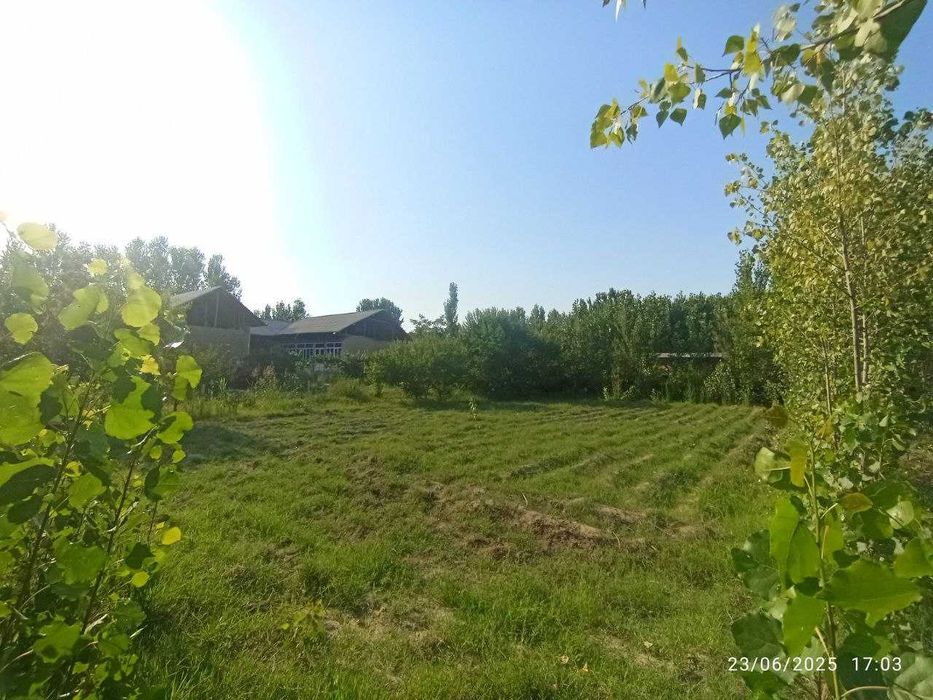 Arzonga shuda yaxshi katta yol yaqinidan qishloqdan yer