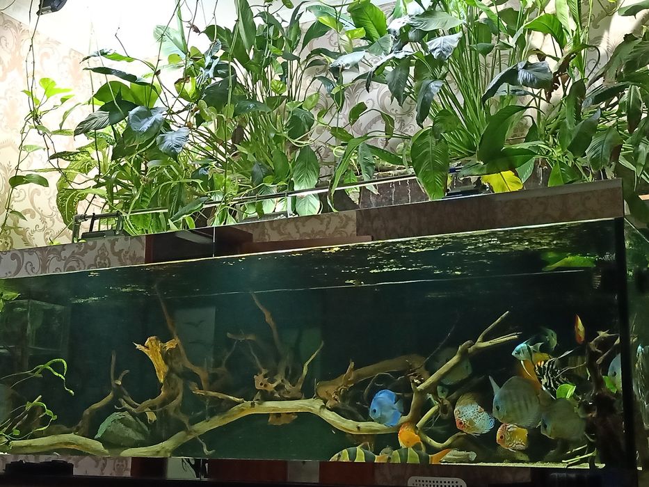 Продам аквариум 1600л.