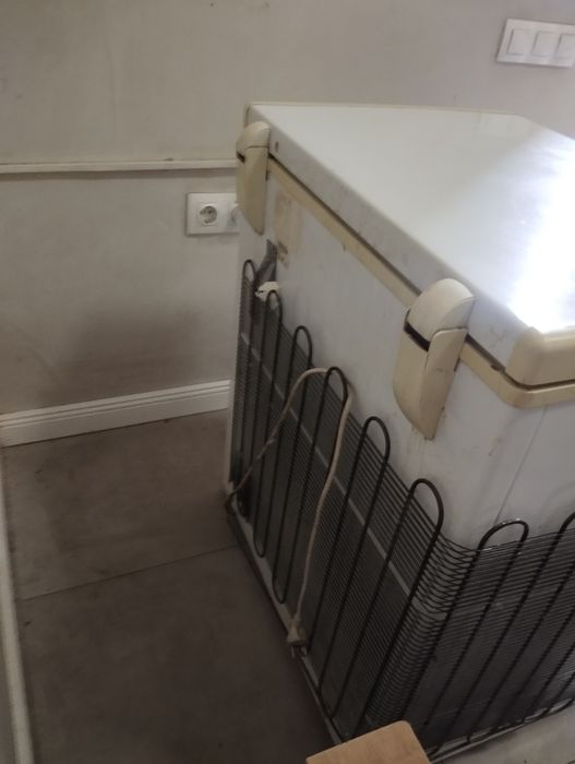 Маразилнык (ShowCar)