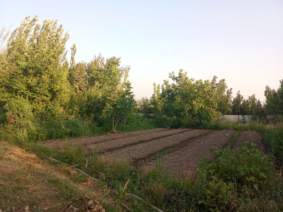 17.5sotix yer. Toshkent viloyati Boʻstonliq tumani Tovoqsoy qishloği.