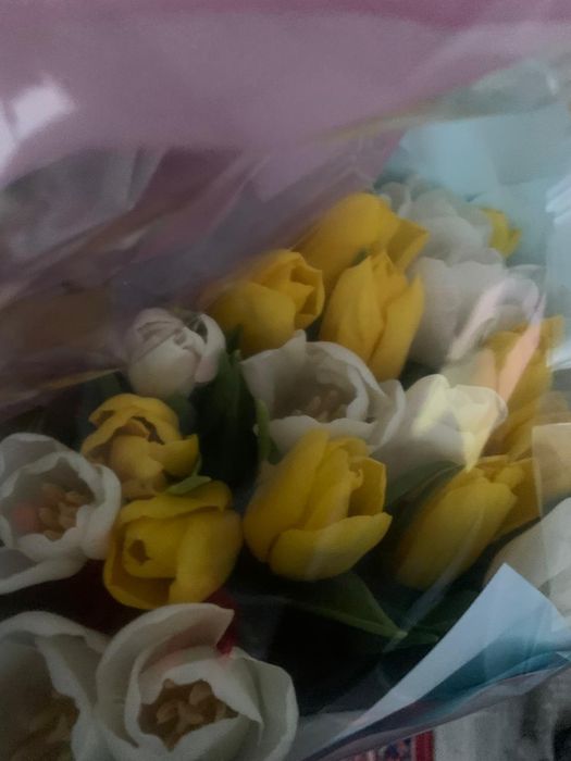 Продам букет тюльпанов 21