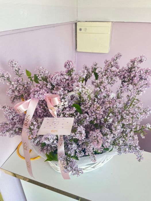 Цветы әдеми гүл әдеми