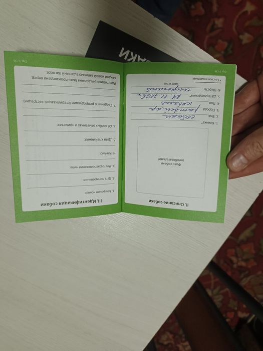 Ротвейлер щенок кабель