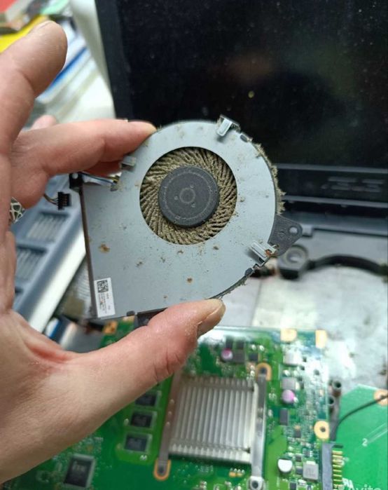 Ремонт компьютеров Установка Виндовс Программист