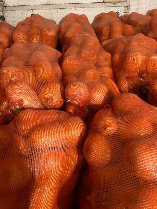 Продам тыкву ,,матильжа''