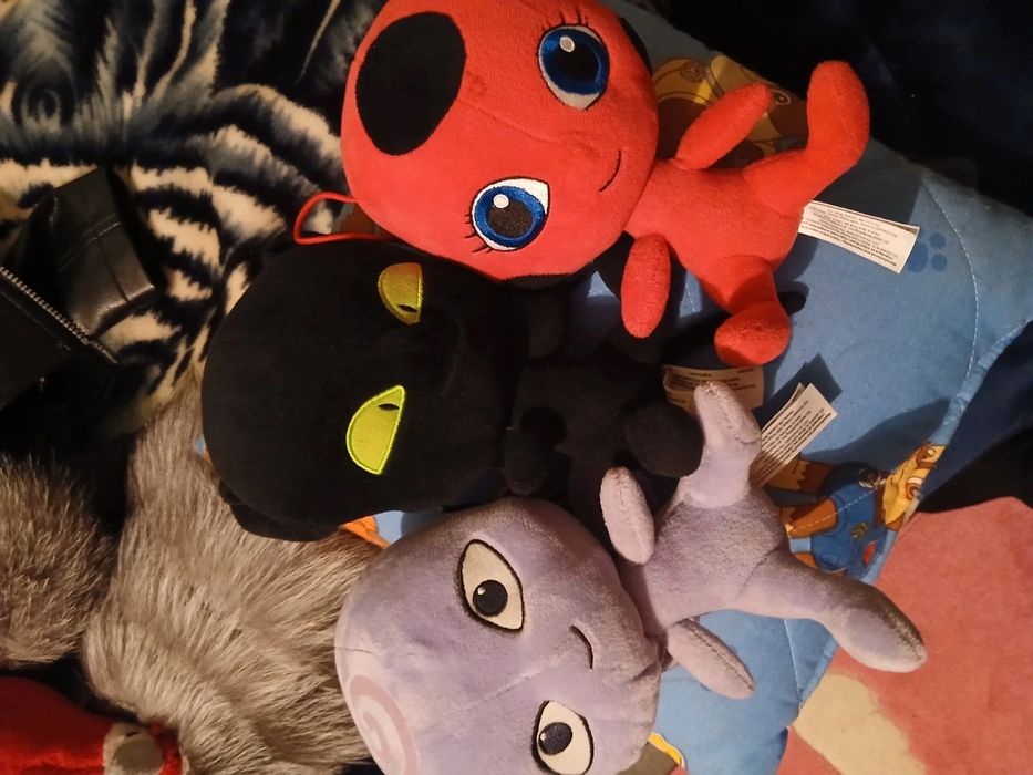 Buburuza Tikki miraculous