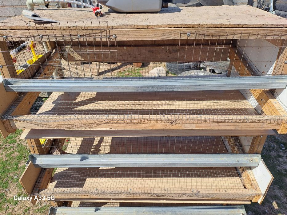 Бөдене клеткасы сатлады