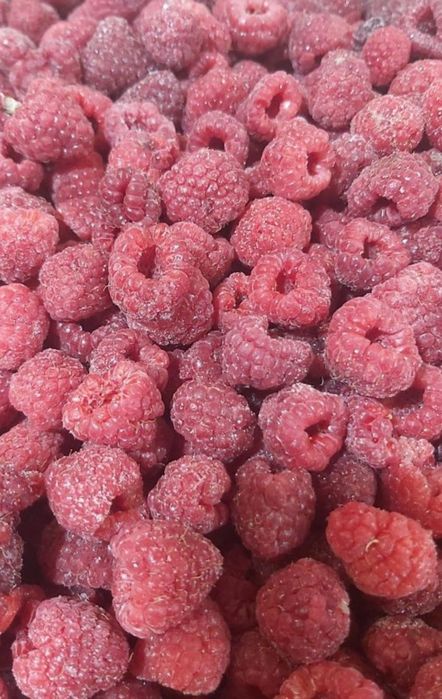 Малина замороженная