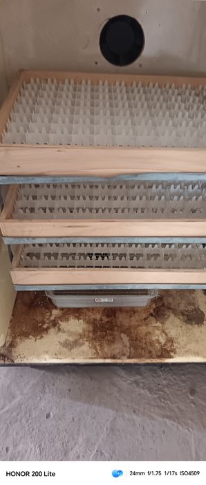 Inkubator sotiladi narxi 1yarim milon kelishiladi 265talik uzi aylantr