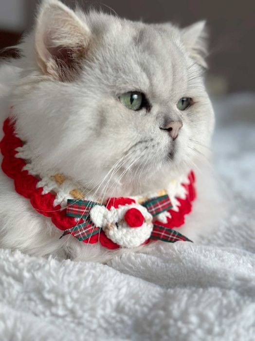 Коледна шапка елха за котка или малко куче – сладък празничен аксесоар