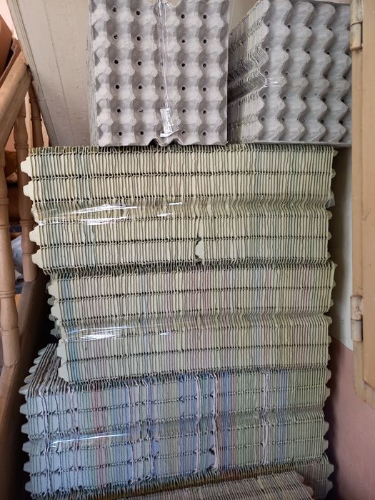 Кори от яйца 20 гнезда