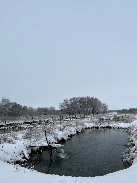 Продам озеро и кашар