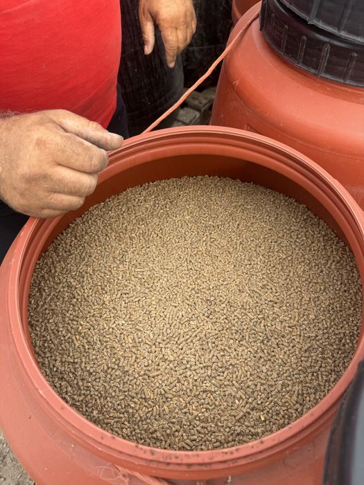 Vand furaj pellet găini ouătoare / pui
