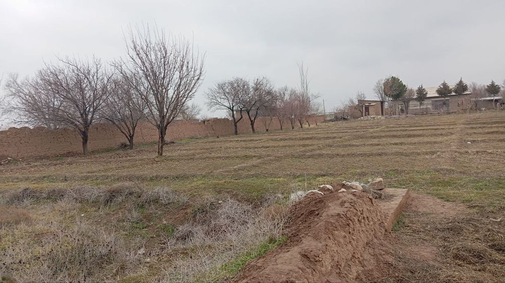 Yer uchastka 15 sotix bor sotixi 10 miliondan kelishiladi