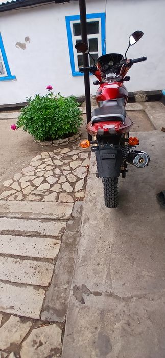 Продам рейсер 250 р 6.