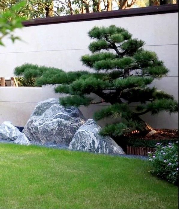 Декоративные  камень