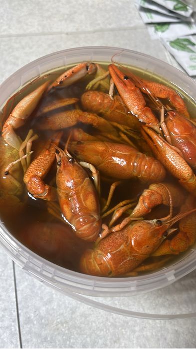 Свежее поступление раков