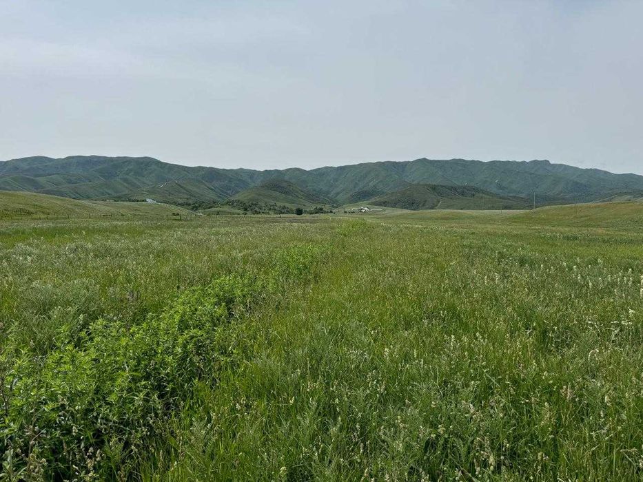 Прод-ся СУПЕР участок 1га Частн.Собств. Предгорье. с.Ынтымак