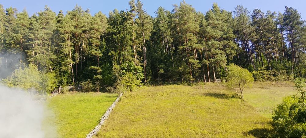 Teren la polalele muntelui Ceahlau,sat Bistra Neamt