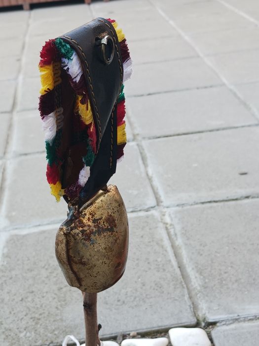 Красиви големи стари хлопки