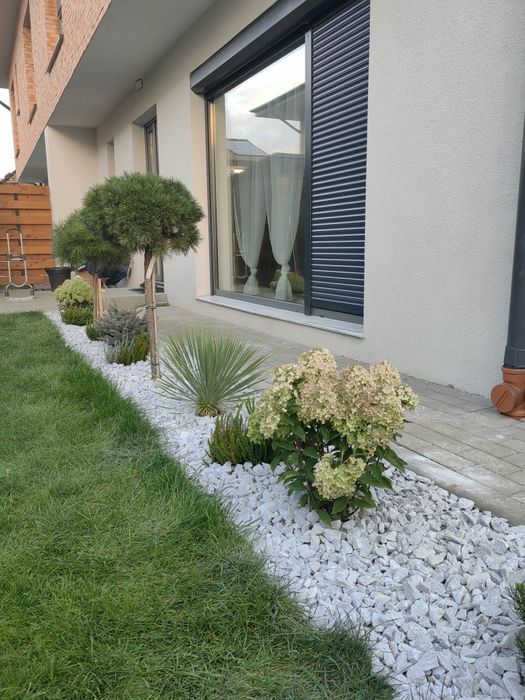 Tund tai toaletez arbori / pomi fructiferi / ornamentali