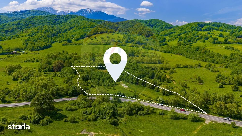 Teren 1ha Valea Glăjeriei - Rasnov | Comision 0%