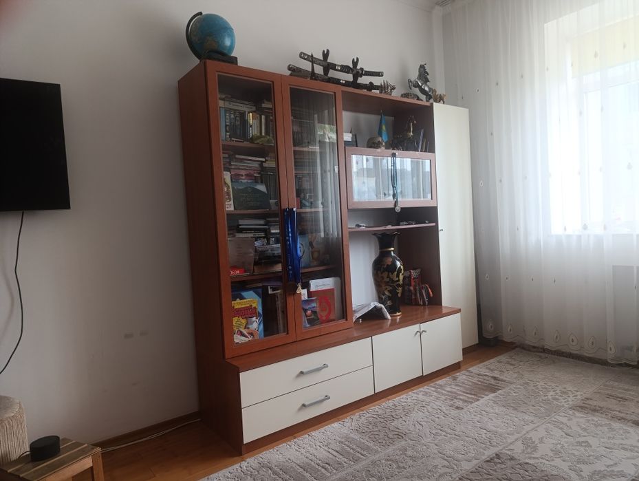 Шкаф для книг, телевизора  и личных вещей.