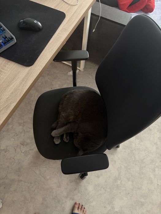 Офисное кресло ИКЕА SMORKULL Икеа