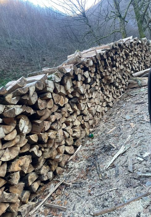 ‼️Lemne de foc esențe tarii[Fag,gorun,carpen,cer] la cele mai bun preț