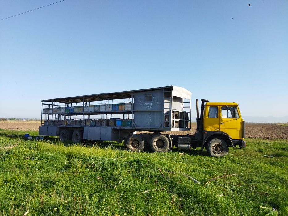 Продам тягач МАЗ 64229