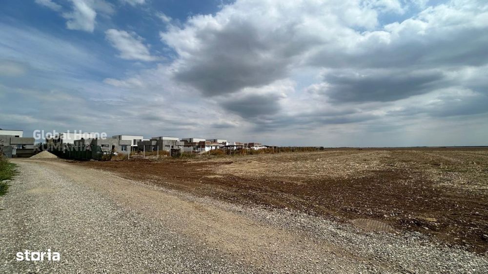 Teren 2500 MP | Balotesti | Intravilan | Integral sau Loturi Individua