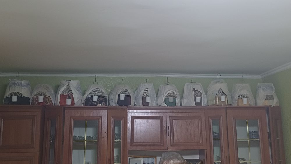 Продаётся перепиолки