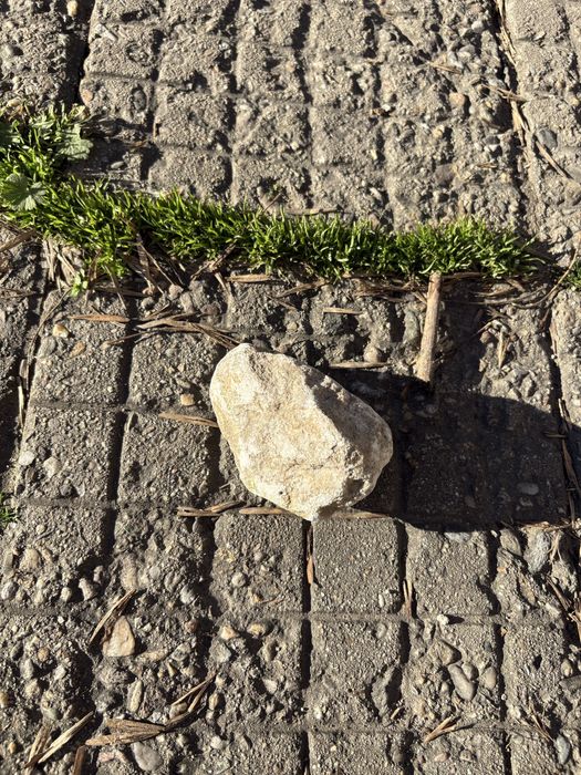 Уникален естествен камък – подходящ за декорация