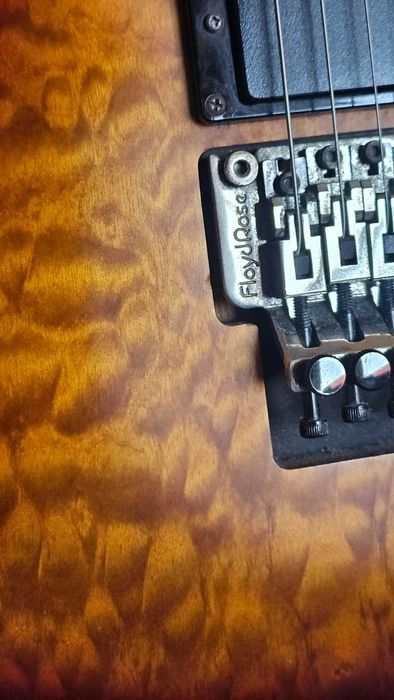 Chitara electrica Schecter Hellraiser Extreme C-1 FR