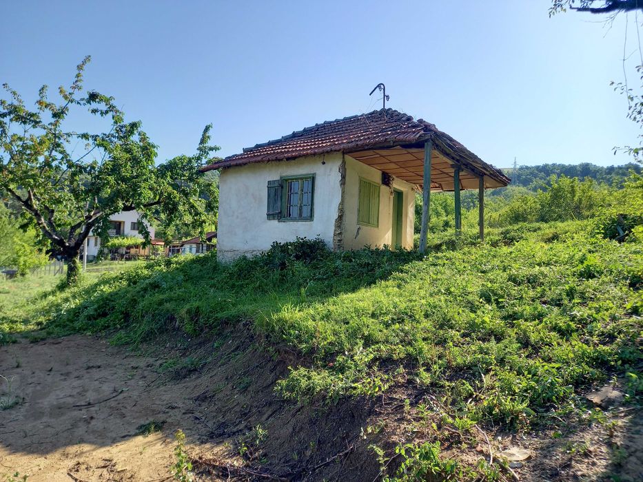 Косене ,почистване и поддържане на дворове ,лозя,ливади ,райгас