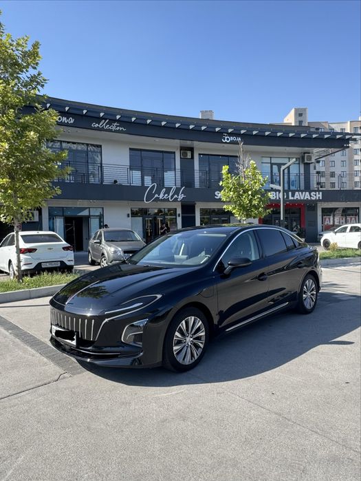 Hongqi eqm5 2024yil 500tali