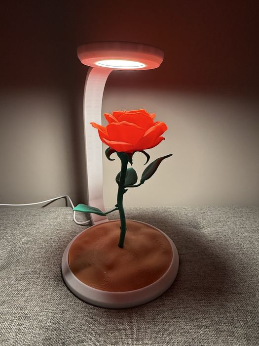 Нощна лампа “красавицата и звярът”