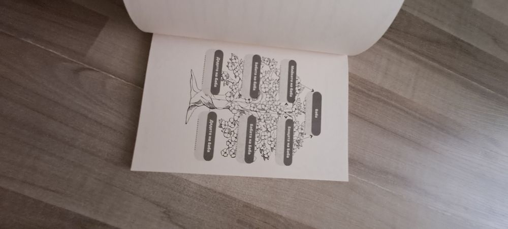 Нова книга описваща живота