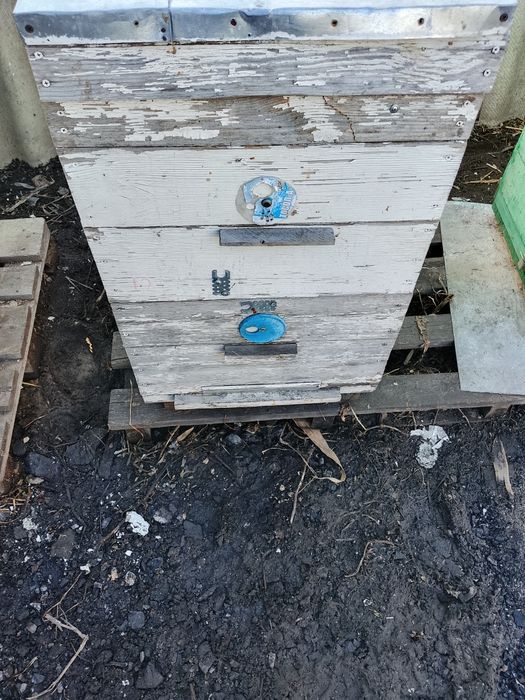 двухкорпусные улья